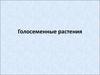 Голосеменные растения