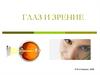 Глаз и зрение