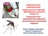 Епідеміологічна характеристика гемоконтактних інфекцій. ВІЛ-інфекція, гепатит В, гепатит С