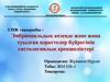 Эмбриональдық кезеңде және жаңа туылған нәрестелер бүйрегінің гистологиялық ерекшеліктері
