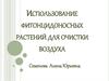 Использование фитонцидоносных растений для очистки воздуха