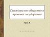 Гражданское общество и правовое государство. (Урок 8)