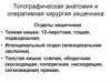 Топографическая анатомия и оперативная хирургия кишечника