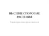 Высшие споровые растения