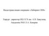Видеотрансляция операции «Лабиринт IIIB»