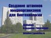 Создание штаммов микроорганизмов для биотехнологии