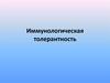 Иммунологическая толерантность