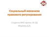 Социальный механизм правового регулирования