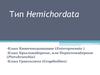 Тип Hemichordata