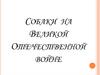 Собаки на Великой Отечественной войне