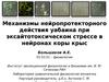 Механизмы нейропротекторного действия уабаина при эксайтотоксическом стрессе в нейронах коры крыс