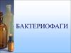 Бактериофаги и их применение