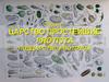 Царство Простейшие Protista. Подцарство Protozoa
