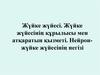 Жүйке жүйесі. Жүйке жүйесінің құрылысы мен атқаратын қызметі. Нейрон-жүйке жүйесінің негізі