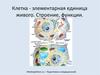 Клетка - элементарная единица живого. Строение, функции