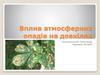 Вплив атмосферних опадів на довкілля