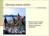Промысловые рыбы
