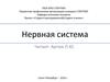Нервная система