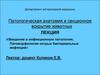 Патологическая анатомия и секционное вскрытие животных