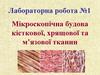 Мікроскопічна будова кісткової, хрящової та м’язової тканин