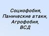 Социофобия. Панические атаки. Агрофобия. ВСД