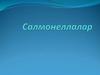 Салмонеллалар. Морфологиясы мен тинкториалдық қасиеттері