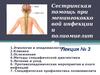 Сестринская помощь при менингококковой инфекции и полиомиелите