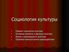 Социология культуры
