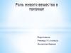 Роль живого вещества в природе
