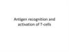 Antigen recognition and activation of T-cells