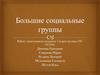 Большие социальные группы и их виды