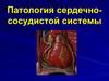 Патология сердечно-сосудистой системы