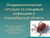 Эпидемиологическая ситуация по клещевым инфекциям