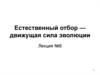 Естественный отбор — движущая сила эволюции. (лекция 8)