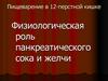 Пищеварение в двенадцатиперстной кишке. Физиологическая роль панкреатического сока и желчи
