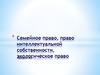 Семейное право, право интеллектуальной собственности, экологическое право