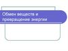 Обмен веществ и превращение энергии
