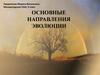 Направления в эволюции. (9 класс)