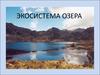 Экосистема озера