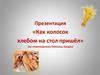 «Как колосок хлебом на стол пришёл» (по стихотворению Светланы Богдан)