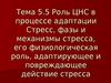 Тема 5.5. Роль ЦНС в процессе адаптации. Стресс, фазы и механизмы стресса
