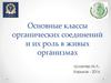 Основные классы органических соединений и их роль в живых организмах