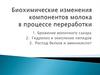 Биохимические изменения компонентов молока в процессе переработки