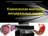 Клиническая анатомия висцеральных систем