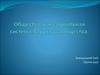 Общество, как социальная система. Структура общества