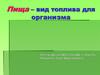 Пища – вид топлива для организма