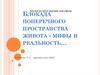 Блокада поперечного пространства живота. Мифы и реальность