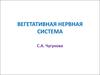 Вегетативная нервная система