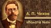 А. П. Чехов, «Палата №6»