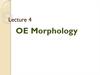 OE Morphology